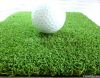 Golf putting grass/turf/lawn