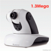 1.3Mega PT Dome Networ...