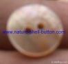 nature shell button, trocas shell button, mop shell button, black shell