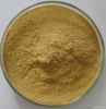 Kava Kava Extract