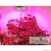 90W UFO LED Grow Light...