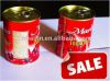 800g28~30%tomato paste