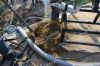 Animal dung dewatering...