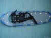 Snowshoes