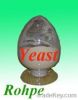 yeast extract paste (f...