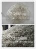 Recycled Glass Bottle ...