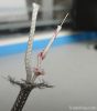 thermocouple cable