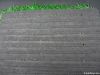 Artificial Grass For Football M53