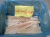 FROZEN ALASKA POLLOCK ...