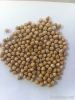 Australian Kabuli Chickpeas,kabuli chickpeas importers,kabuli chickpeas buyers,kabuli chickpeas importer,buy kabuli chickpeas