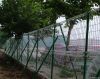 Modern Galvanized Welded Fencing Mesh