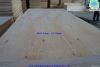 birch plywood