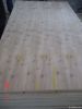 birch plywood