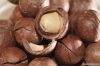 Macadamia Nut