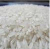 Rice | Rice Exporter |...