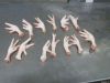 Chicken feet (Italy)