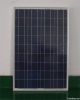 poly solar panel 100W with factory price