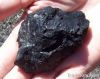 Steam Coal