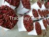 hot dried chilli