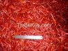 hot dried chilli