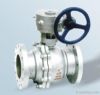 Worm-gear Drive Floati...
