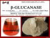 ÃŽÂ²-glucanase