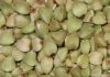 2012 roasted buckwheat...
