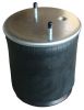 AIR SPRING E4004