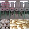 Shuliy garlic peeling ...