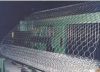 Hexagonal Wire Netting