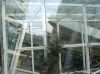 Curtain wall glass