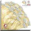 100% Human Hair Clip-In Hair Extension