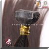 Brazilian Virgin Human Hair Tape Hair Extension