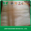 1.2mm poplar core veneer for making plywood