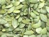 pumpkin seeds : shine skin pumpkin seeds, snow white pumpkin seeds