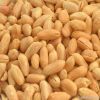 Peanut kernel, blanched peanut kernel