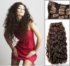 Clip-In Hair Extension