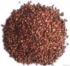 Grape Seed Extract