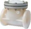 Swing check valve