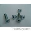 Machine Screw