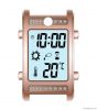 UV Watch