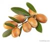 argan oil for skin