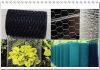 Galvanized Hexagonal W...