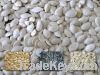 Pumpkin Kernels AA New...