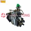 China Diesel Engine Ve Pump VE4/11F1900L003/11F1900LNJ03 Exporter