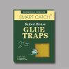 mouse glue traps