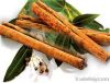 Cinnamon