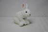 plush bunnies toy