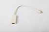 Mini DisplayPort 20P T...