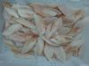 Frozen Pacific Cod Por...